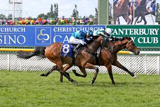 Bizzwinkle was having just his 19th career start, and he led throughout the 3200-metre journey. 